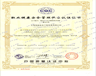 ISO 职业健康管理认证证书